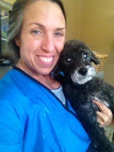 15032166_1272129066142601_6328344332003030705_n